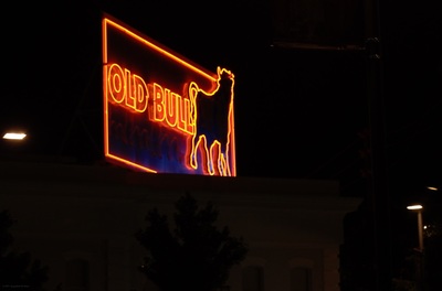 A nighttime photo of a neon sign atop a building that reads "Old Bull" and the shape of a bull next to the words in neon.
