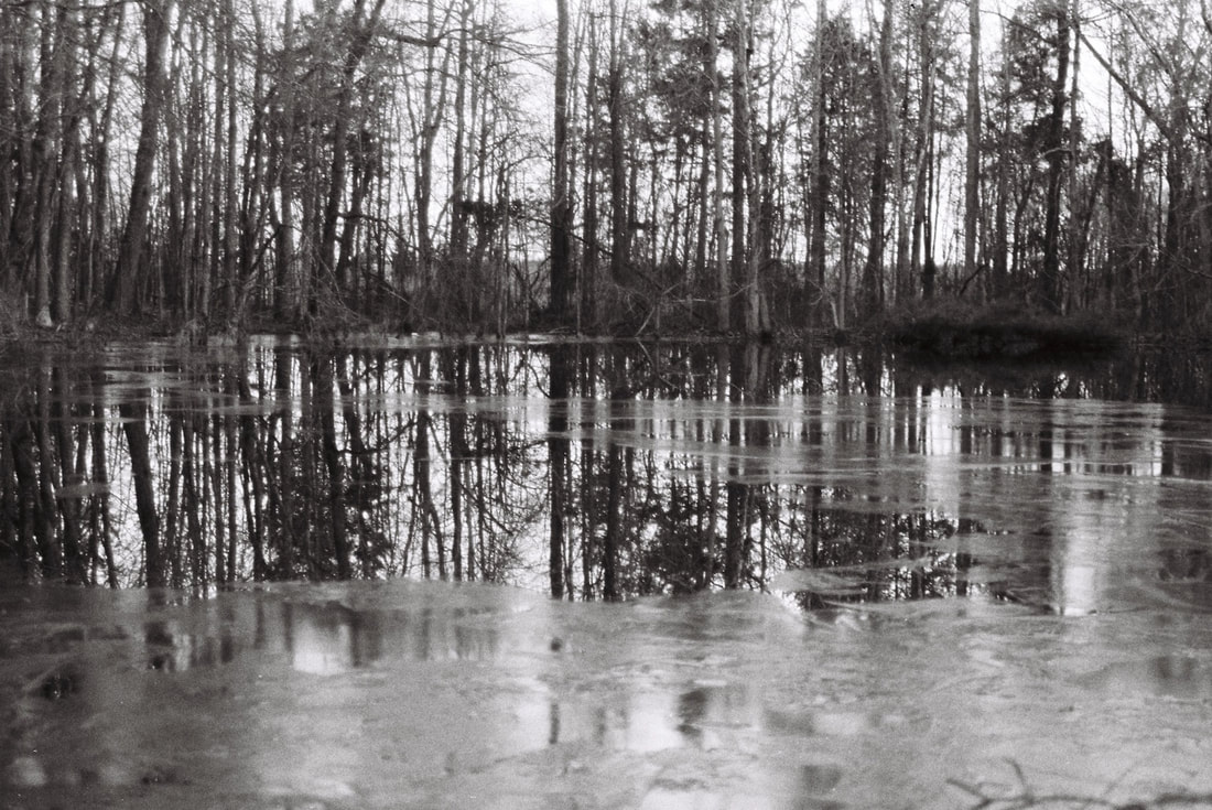Black and white reflection on icy pond surface
