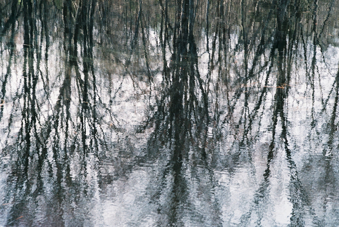 Abstract image of surface reflection of a pond.
