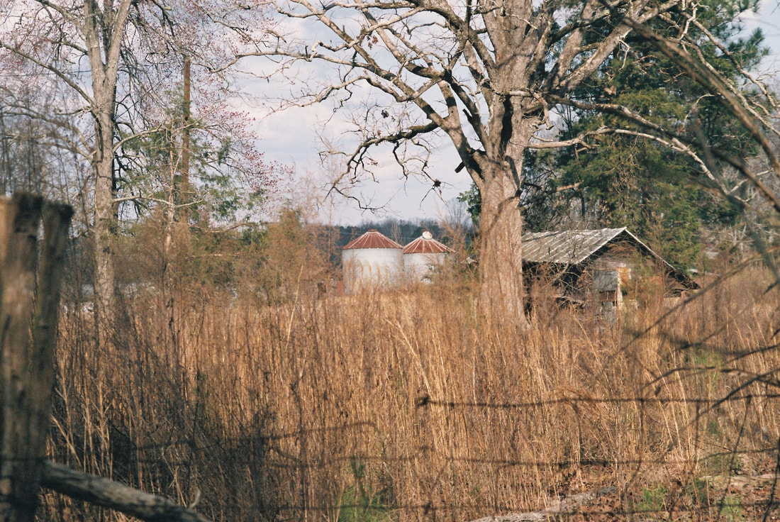 Rural setting showing old farm buildings and tall grasses.