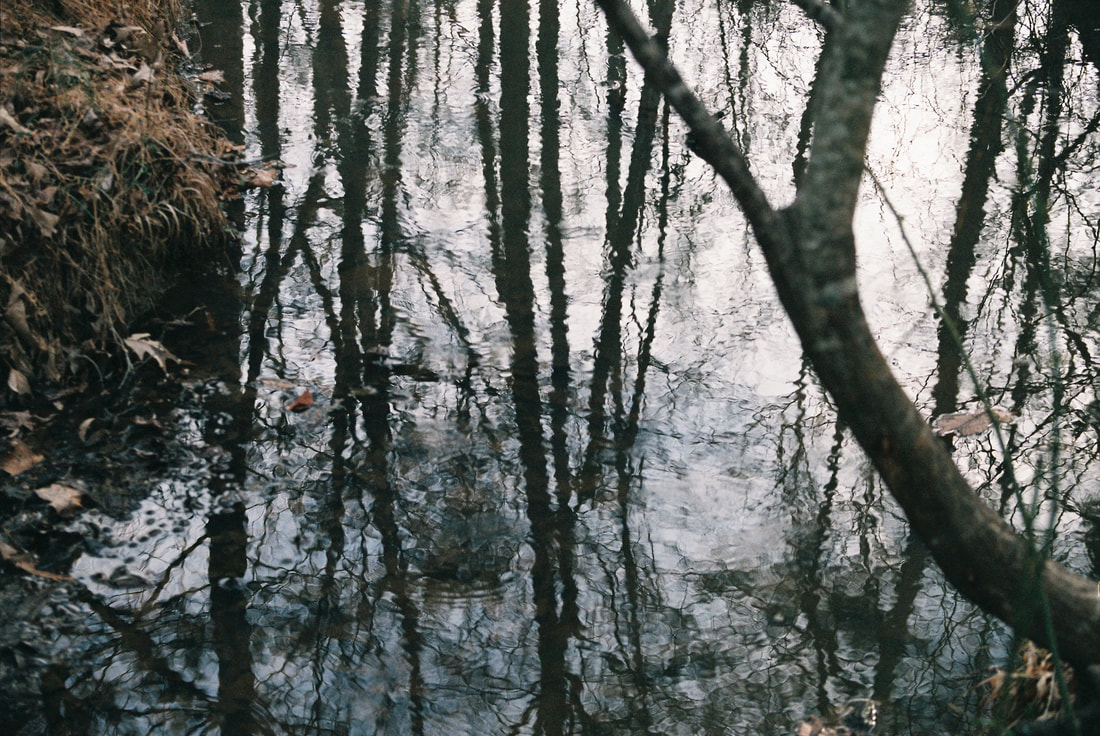 Muted color image of a reflective stream of dark water.